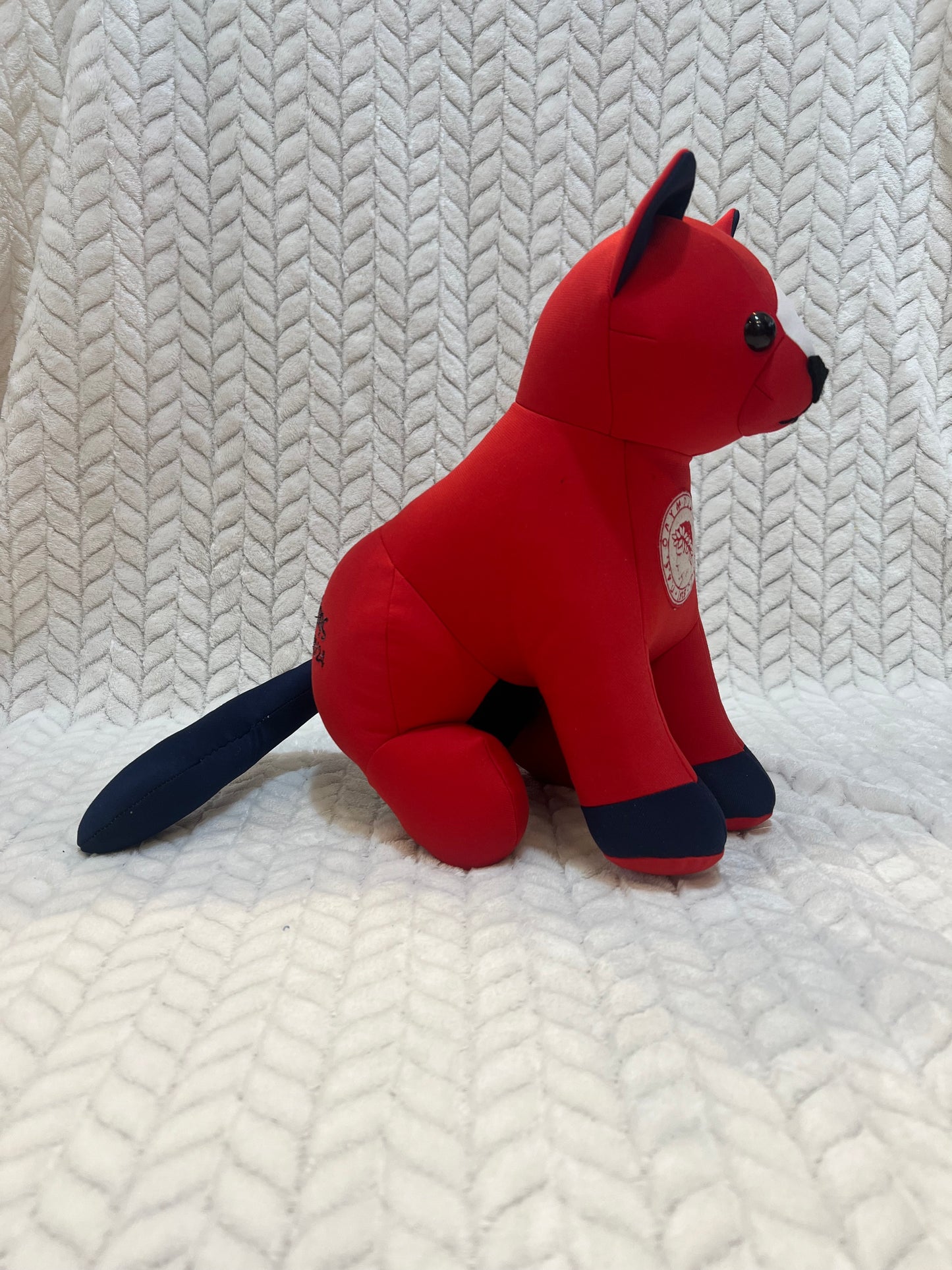 Αναμνηστική γάτα